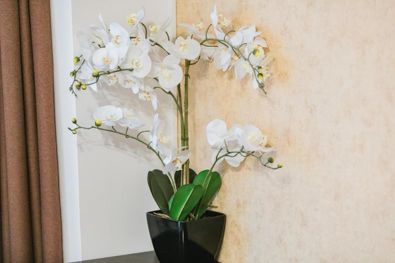 Ferienwohnung Seasons Atmosphere Studio Brașov Exterior foto